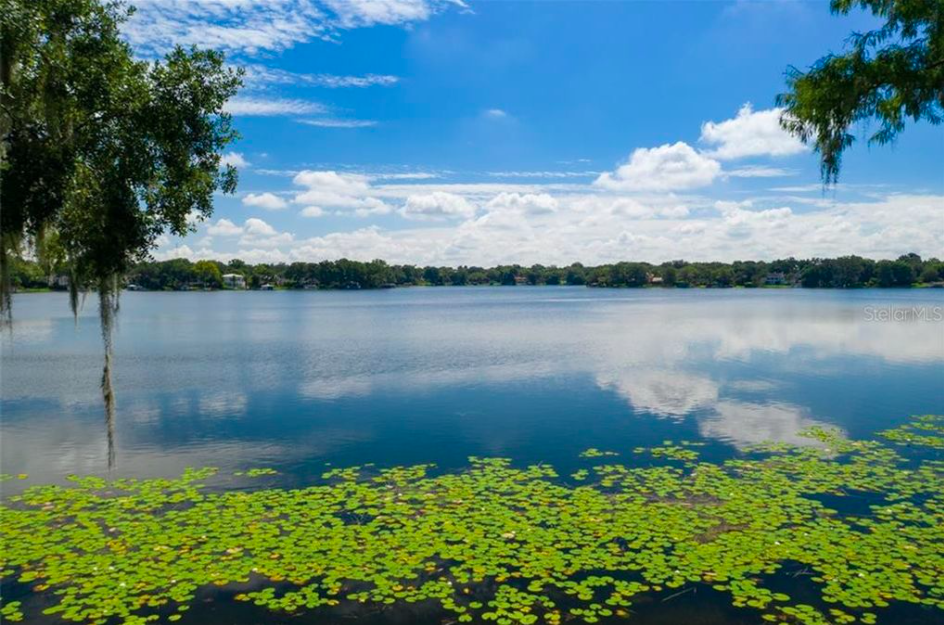 A photo of Lake Osceola with trees in the background and green lily pads in the water.