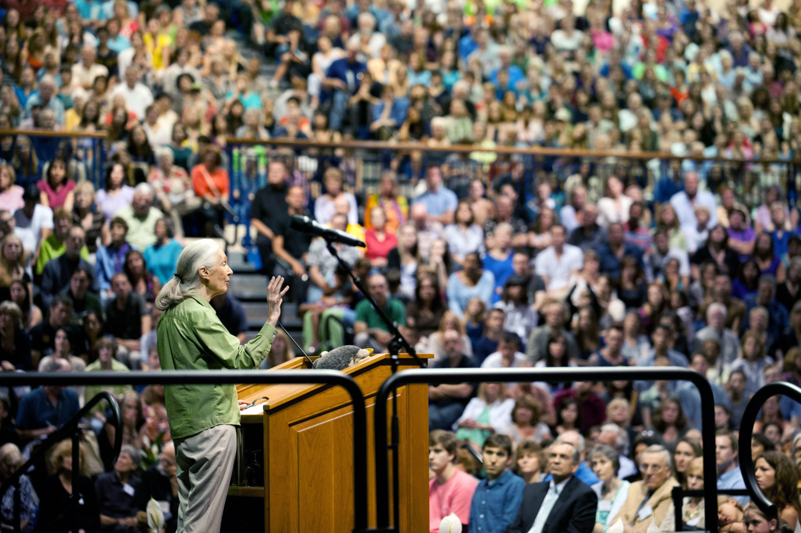 Jane Goodall stands at a podium and delivers a speech to a crowded stadium.